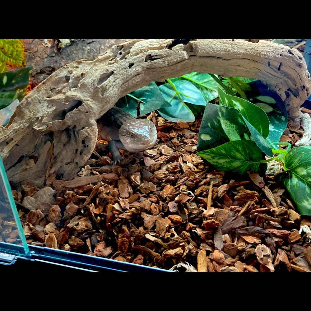 Meet your Posher, Julia